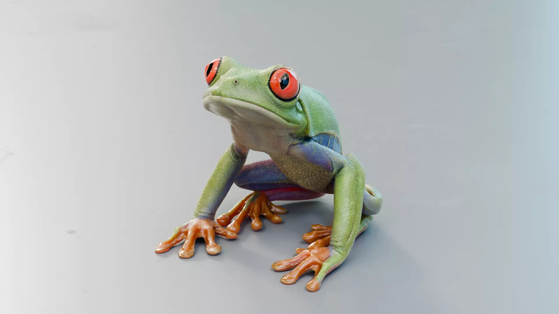 Red Tree Frog Low-poly 3D model_0