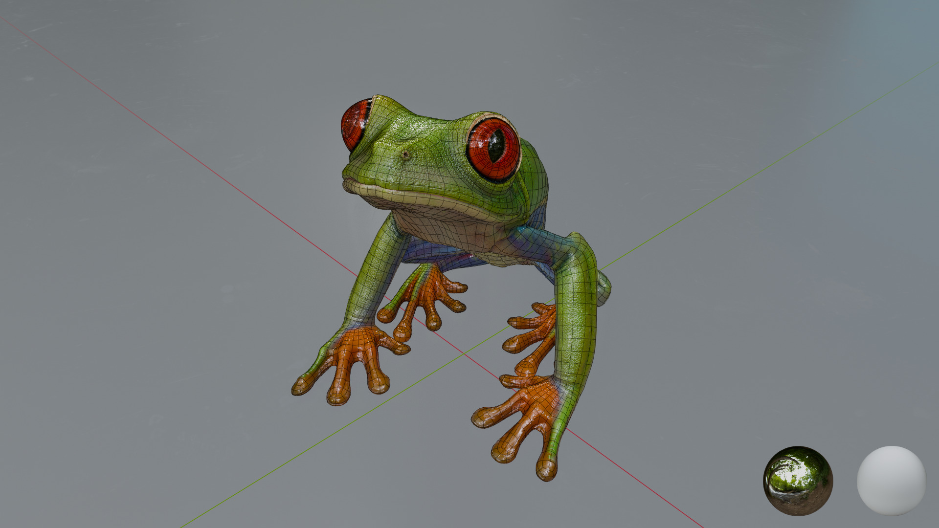 Red Tree Frog Low-poly 3D model_2