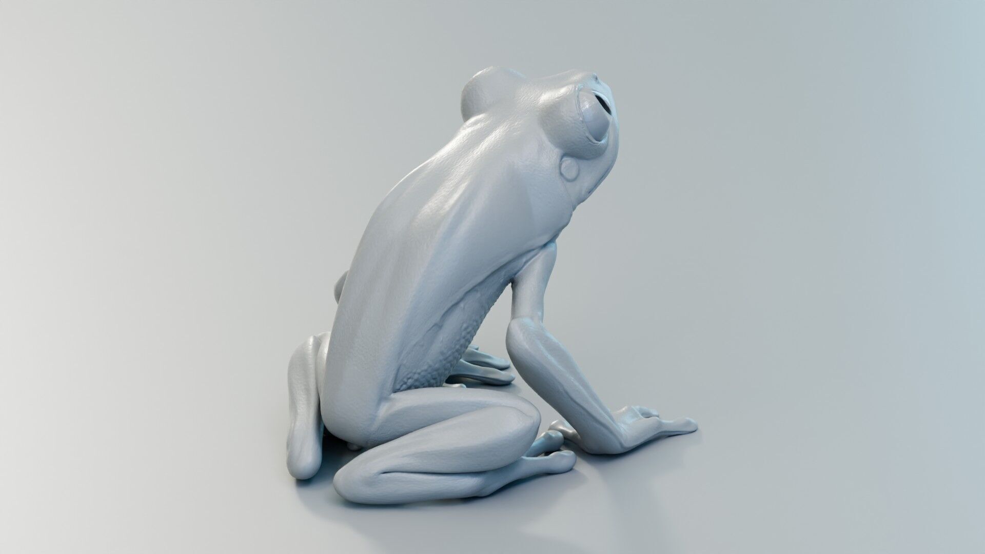 Red Tree Frog Low-poly 3D model_17