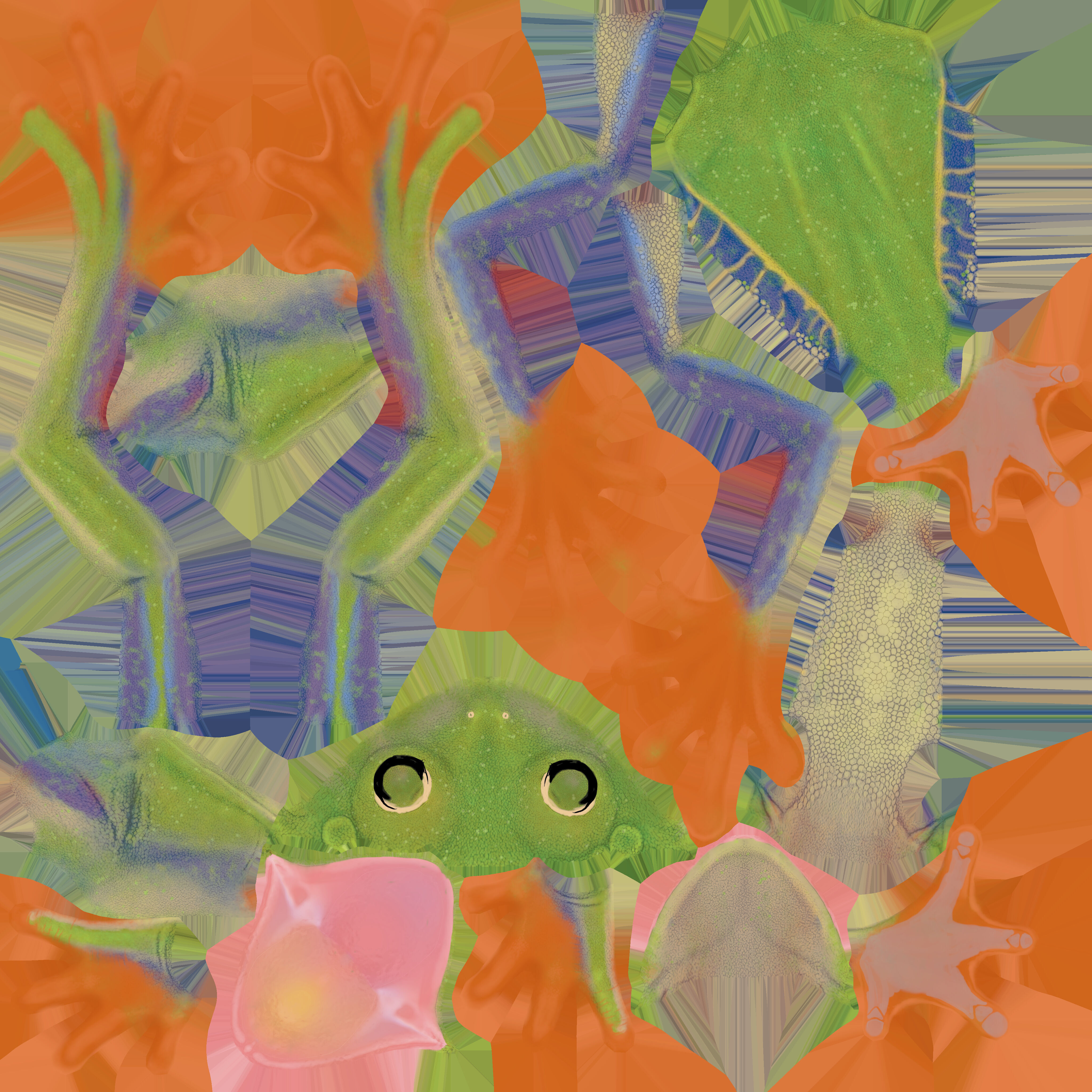 Red Tree Frog Low-poly 3D model_38