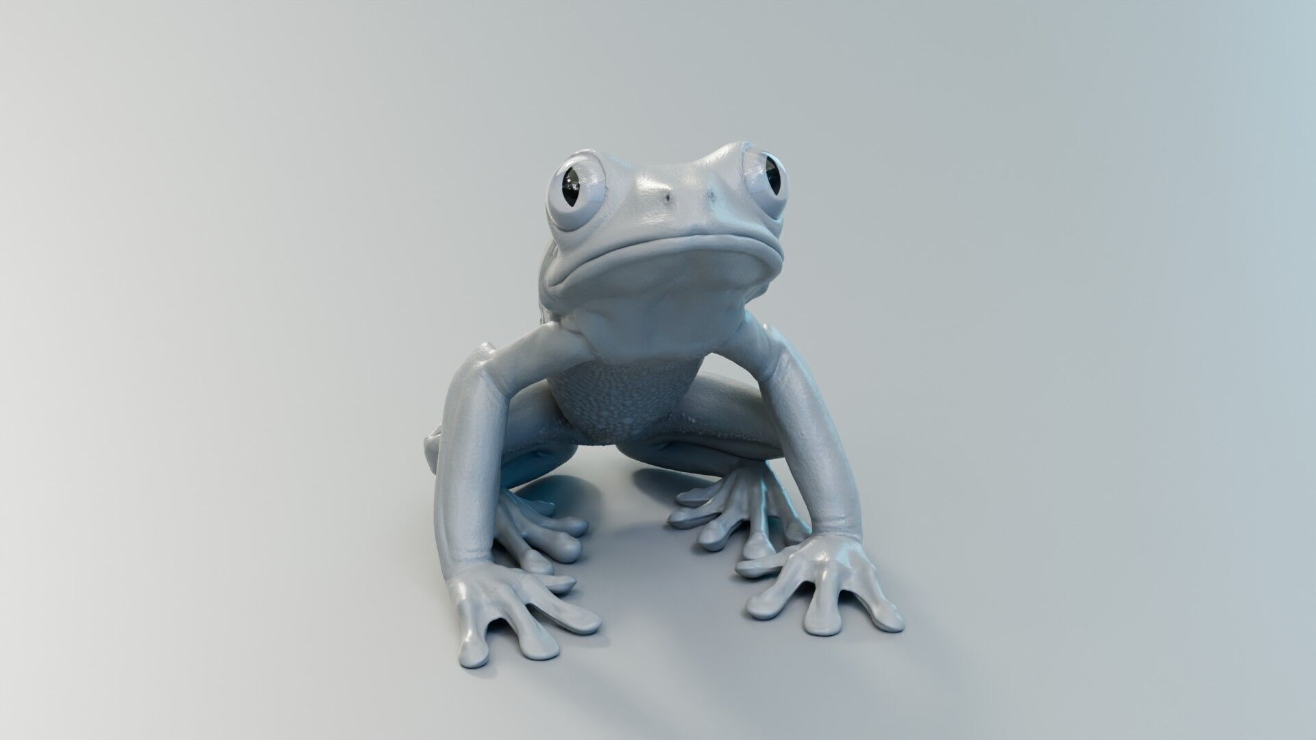 Red Tree Frog Low-poly 3D model_4