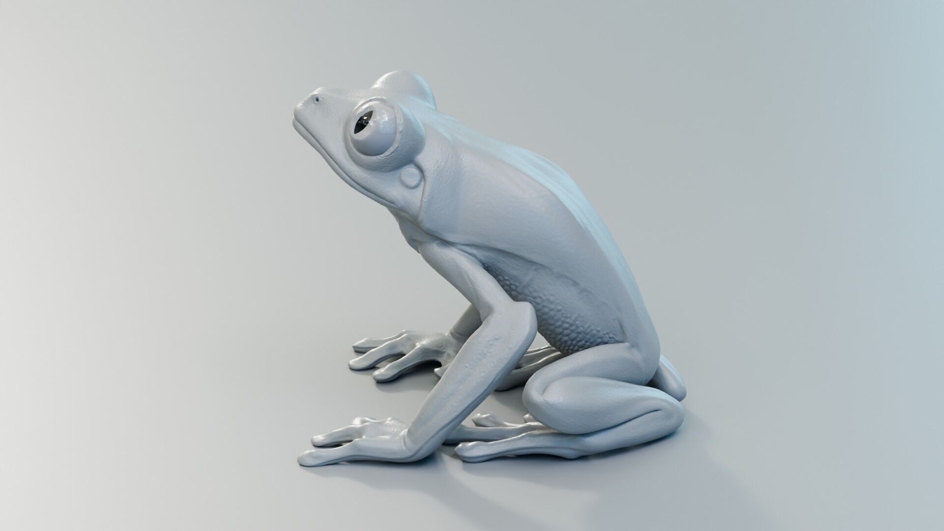 Red Tree Frog Low-poly 3D model_25