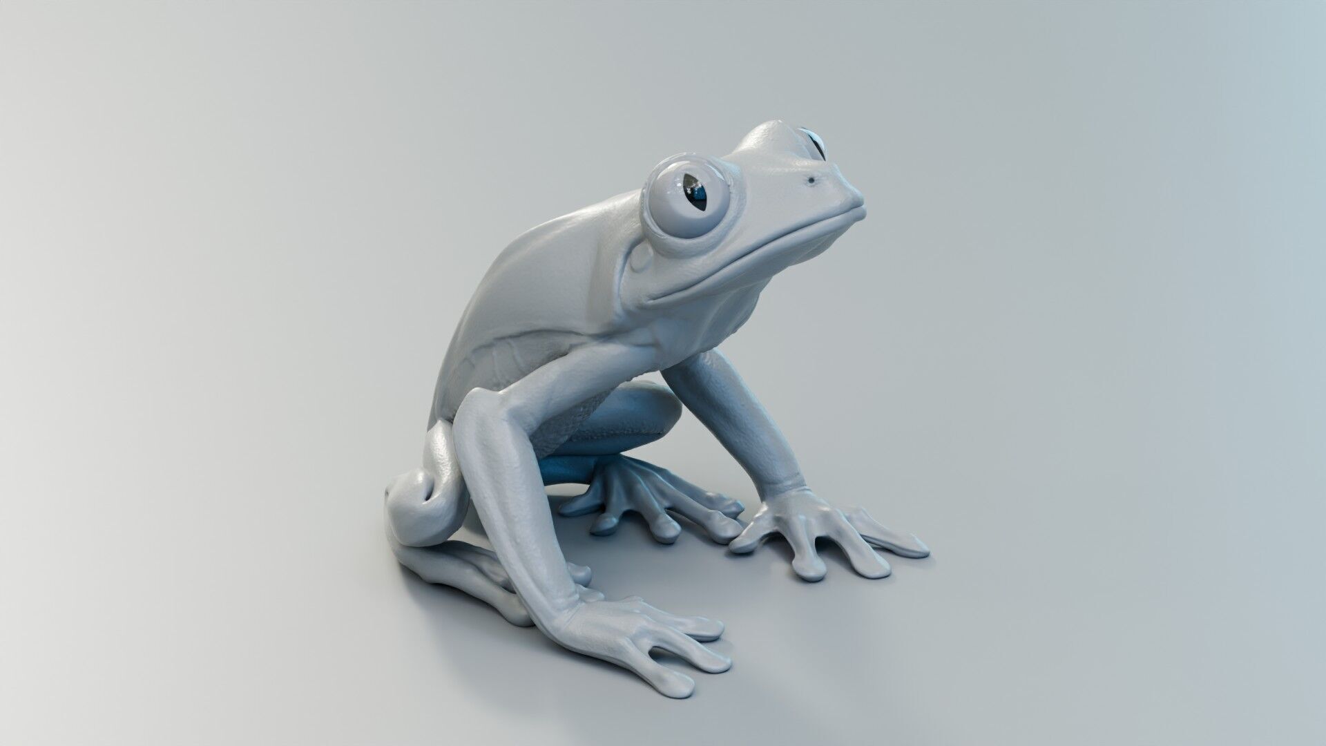Red Tree Frog Low-poly 3D model_9