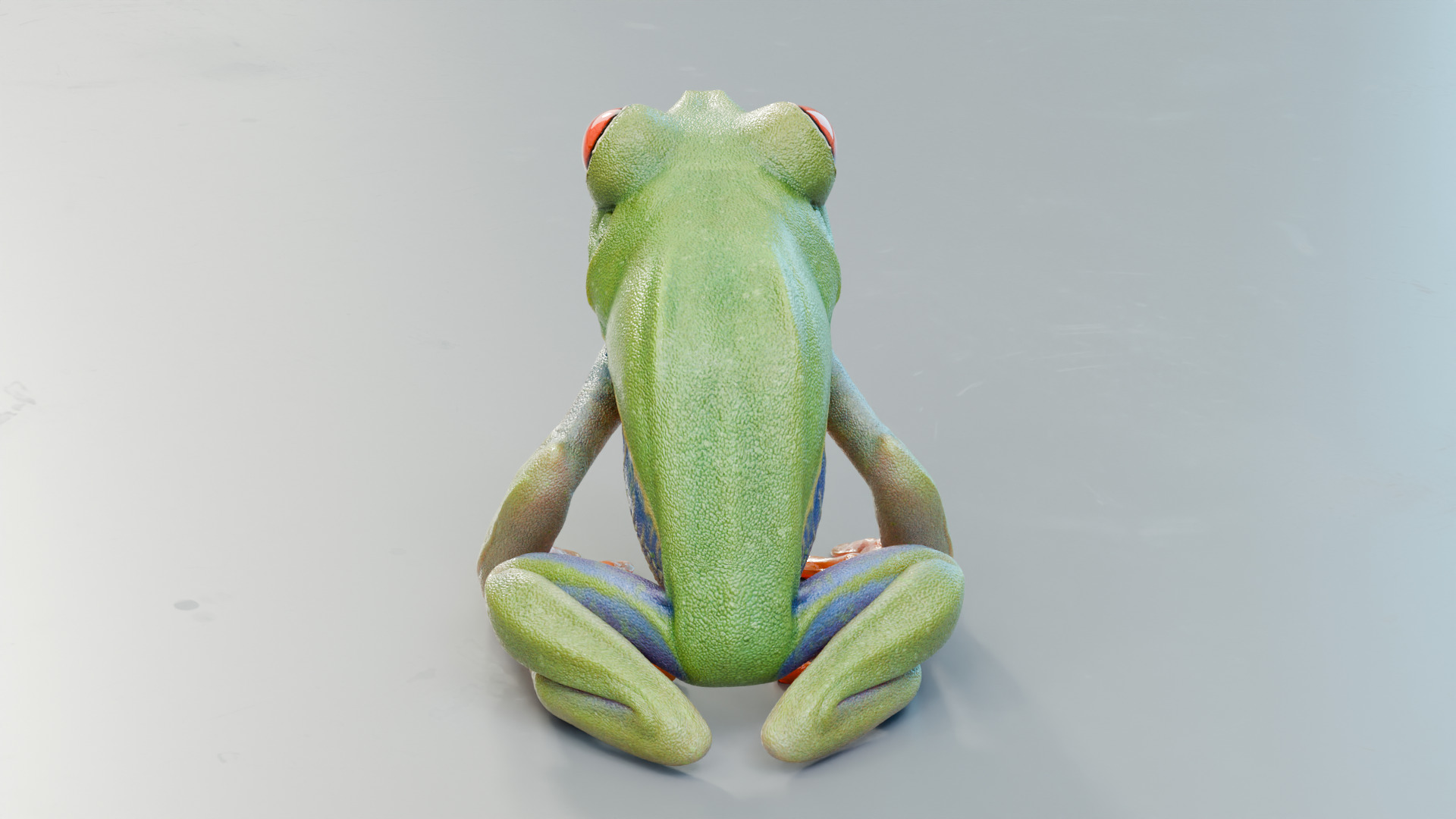 Red Tree Frog Low-poly 3D model_21