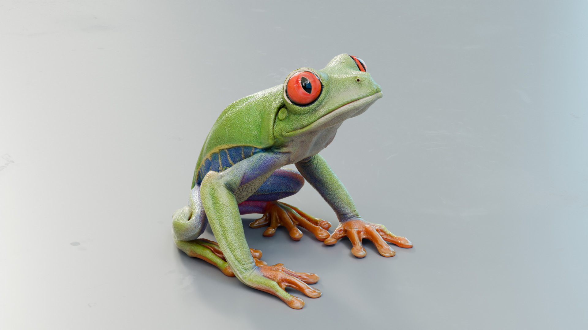 Red Tree Frog Low-poly 3D model_8