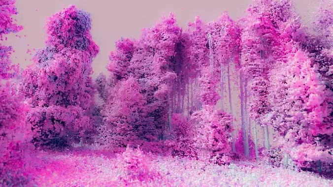 Gorge in the forest - Point cloud