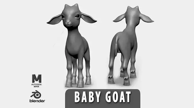 Baby Goat Low-poly 3D model