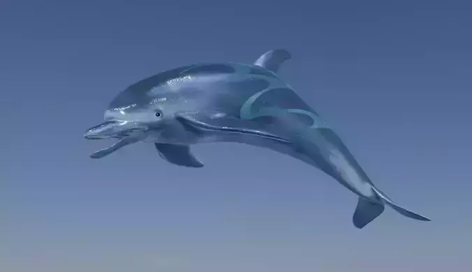 Shiny Dolphin 3D model
