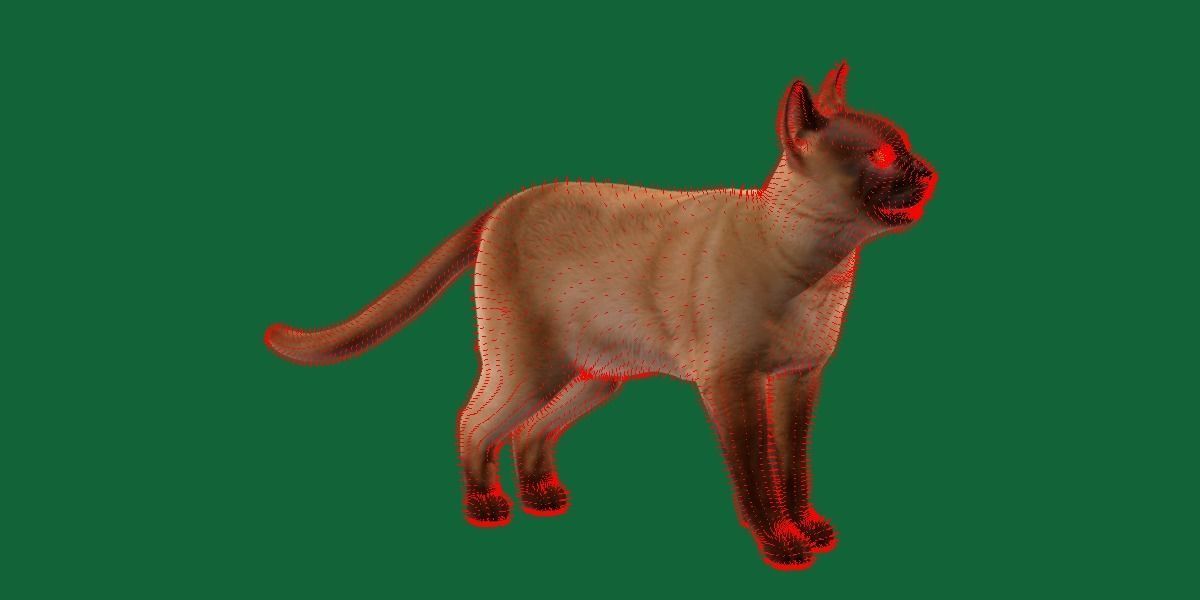Burmese Domestic Cat 3D model_19