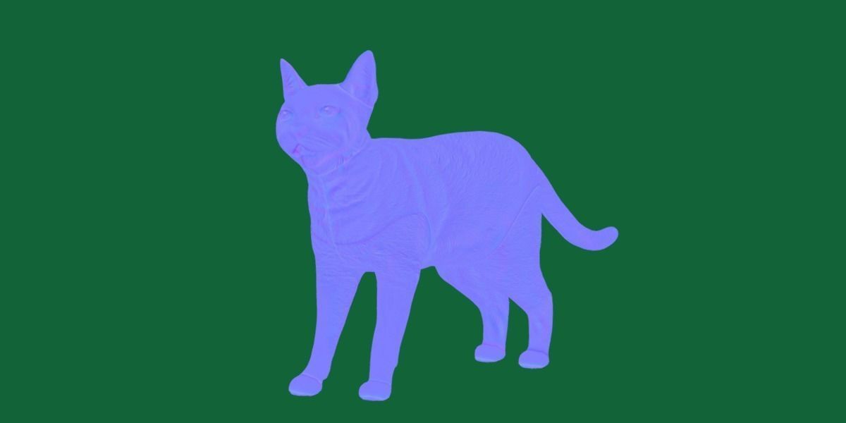 Burmese Domestic Cat 3D model_12