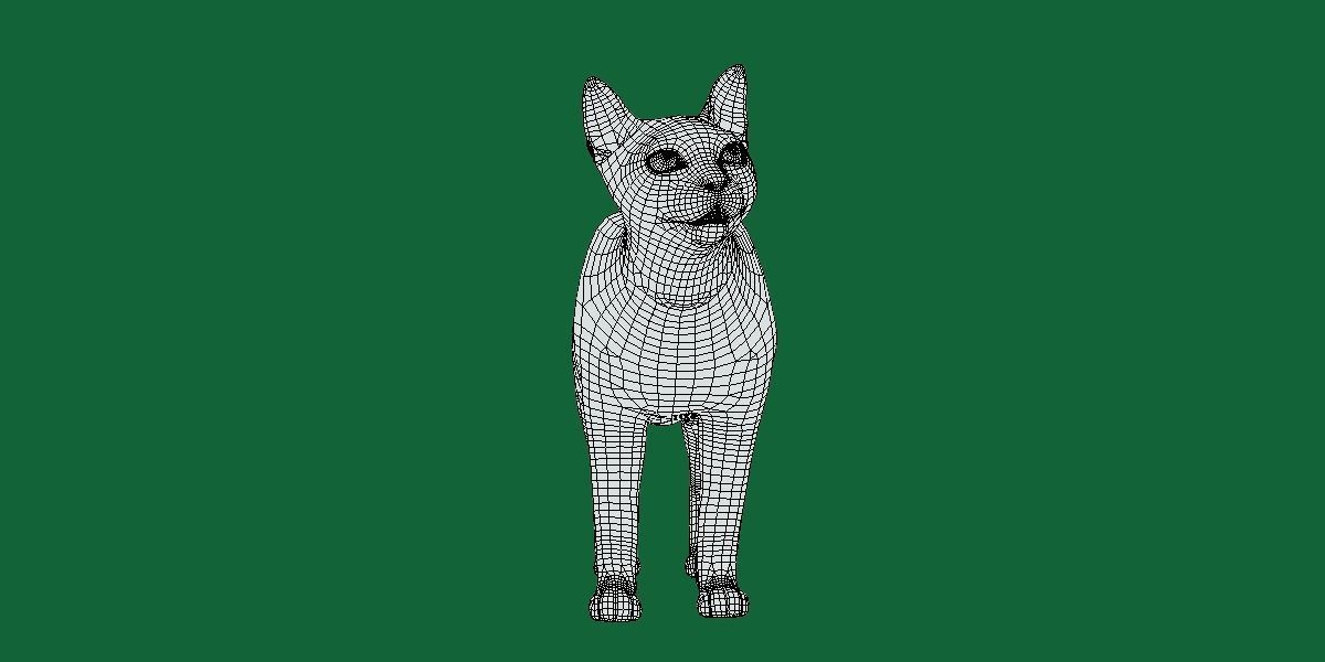Burmese Domestic Cat 3D model_17