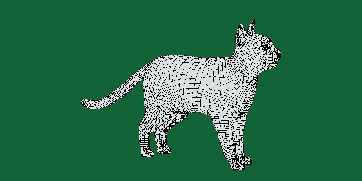 Burmese Domestic Cat 3D model_18