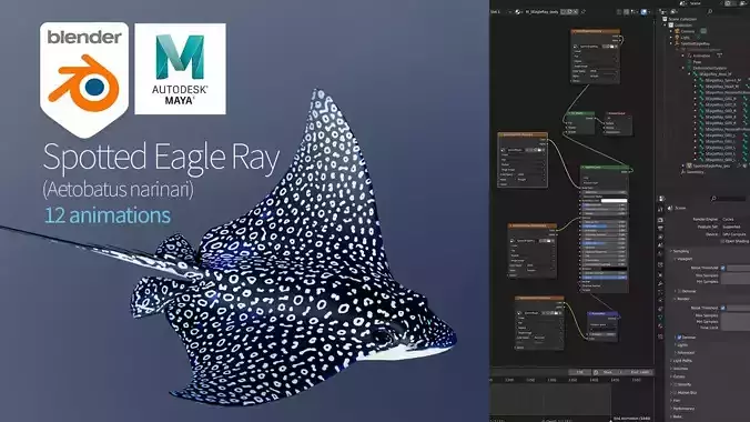 Spotted Eagle Ray Low-poly 3D model