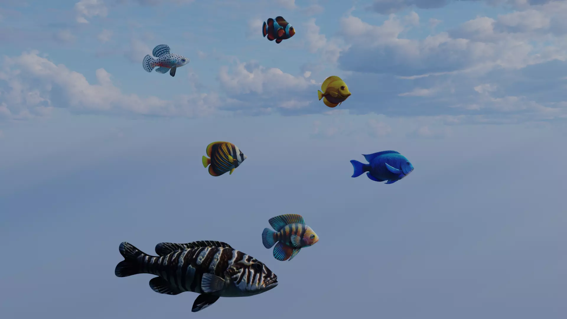 Tropical Fishes Set six piece Low Poly Free low-poly 3D model_0