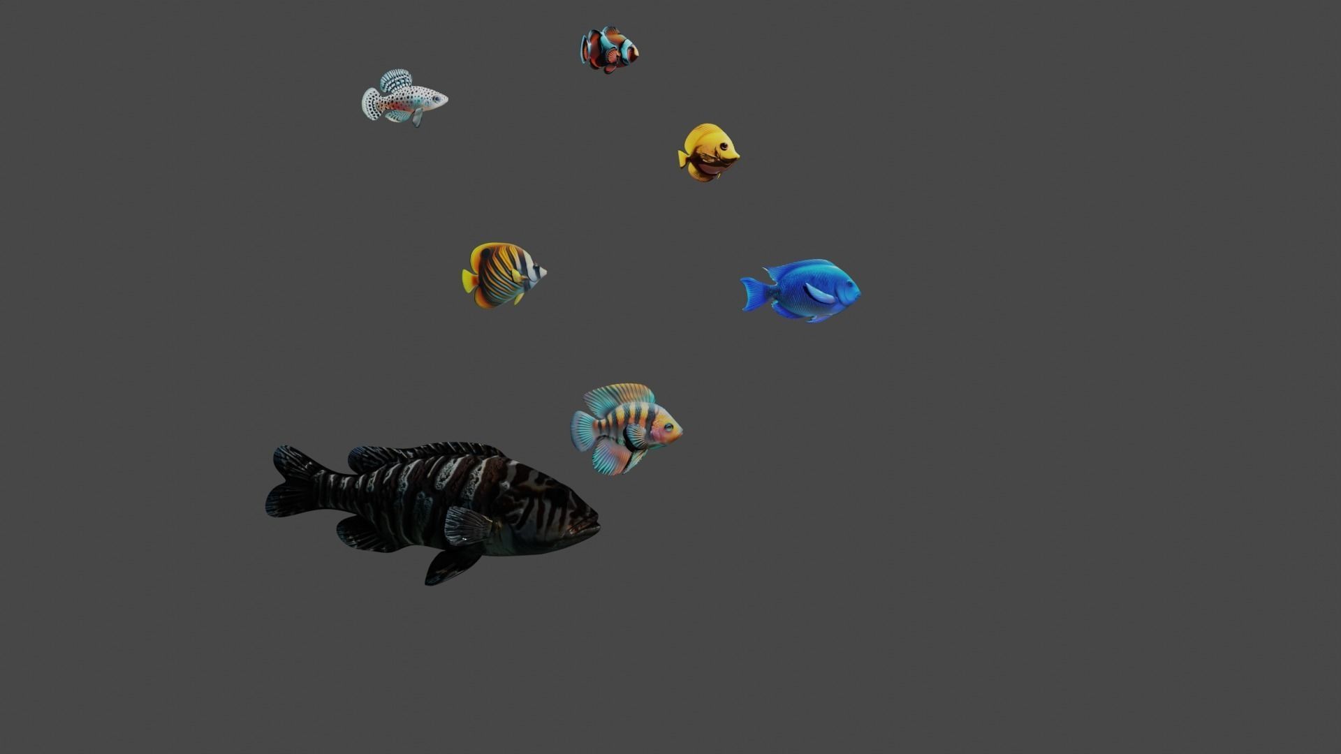 Tropical Fishes Set six piece Low Poly Free low-poly 3D model_3