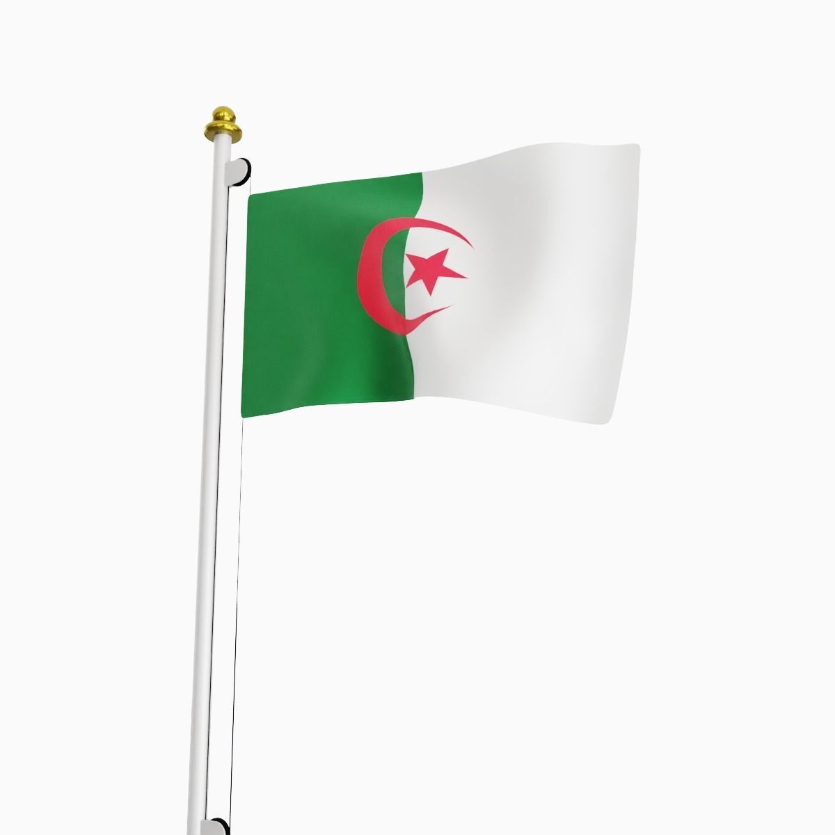 Flag of the Algeria Low-poly 3D model_5