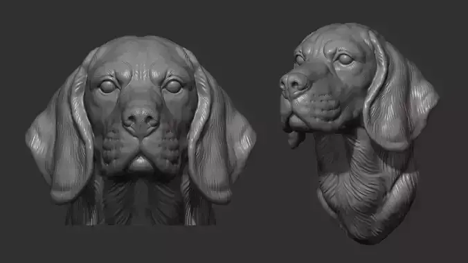 Beagle dog bust 3D print model