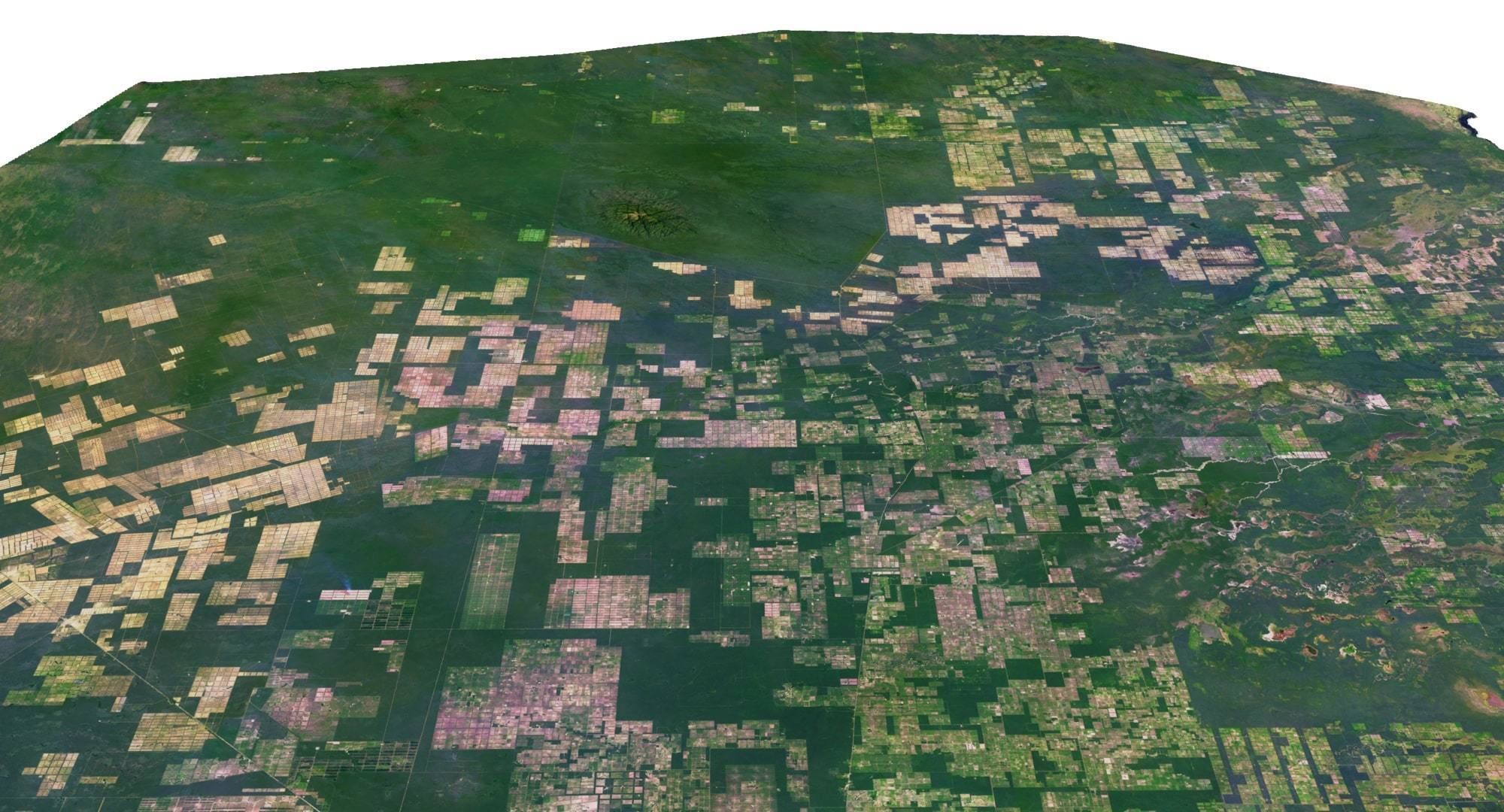 Paraguay Terrain 3D Map 3D model_12