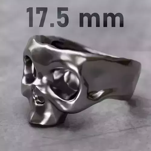3D Printable Skull Ring for Jewelry 3D print model