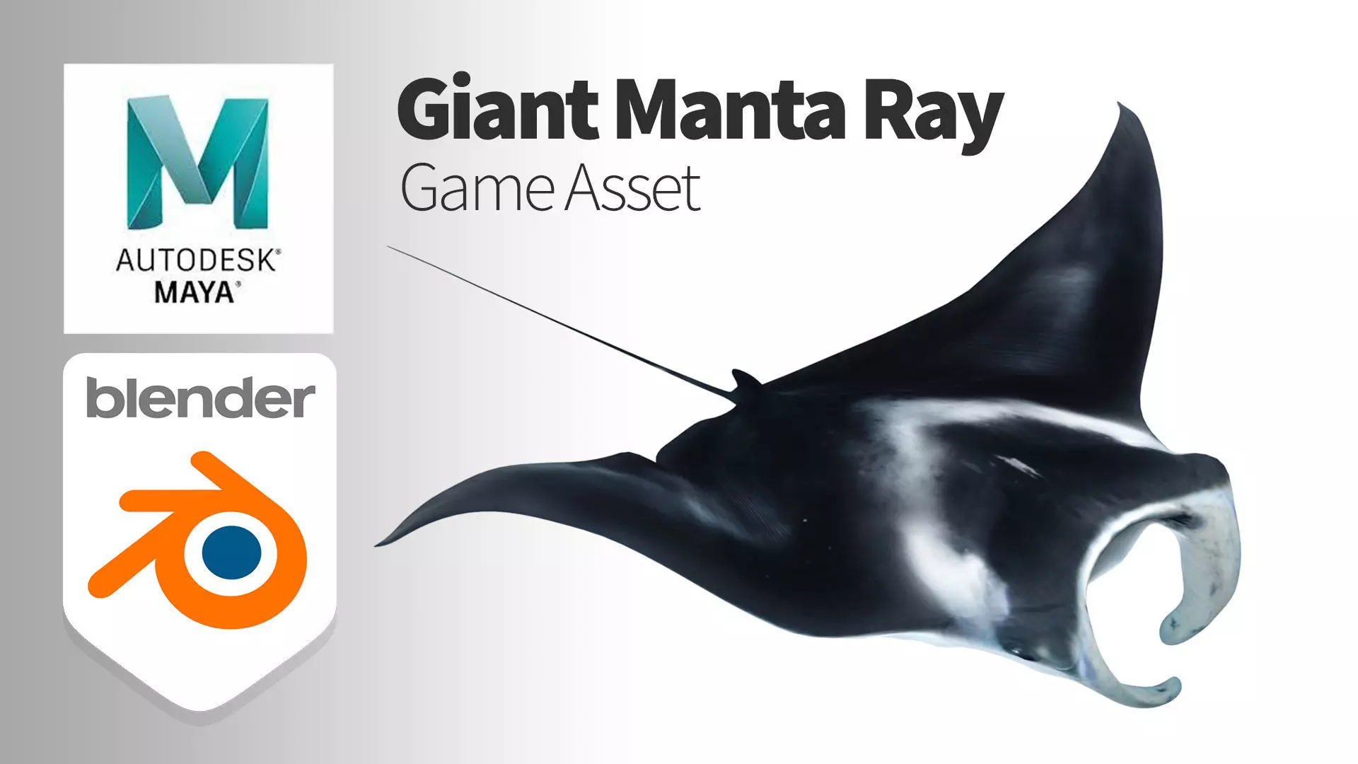 Giant Manta Ray Low-poly 3D model_0