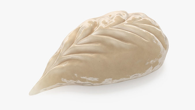 Leaf Shaped Dumpling Cooked 3D model 5