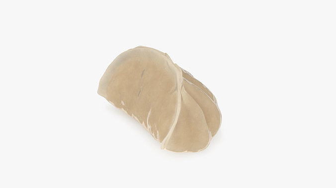 Chinese Dumpling Cooked 3D model 4