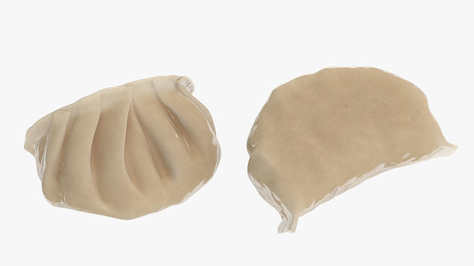 Chinese Dumpling Cooked 3D model 7