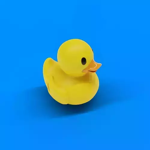 duck toy