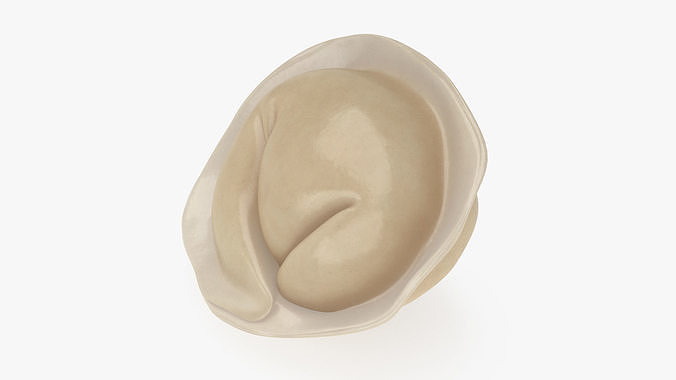 Pelmeni Dumpling Cooked 3D model 4