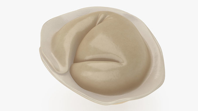 Pelmeni Dumpling Cooked 3D model 5