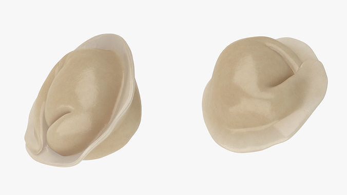 Pelmeni Dumpling Cooked 3D model 7
