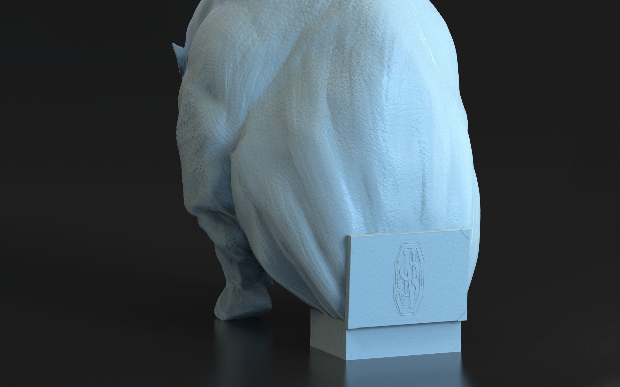 Harry Potter - Erumpent 3D print model_23