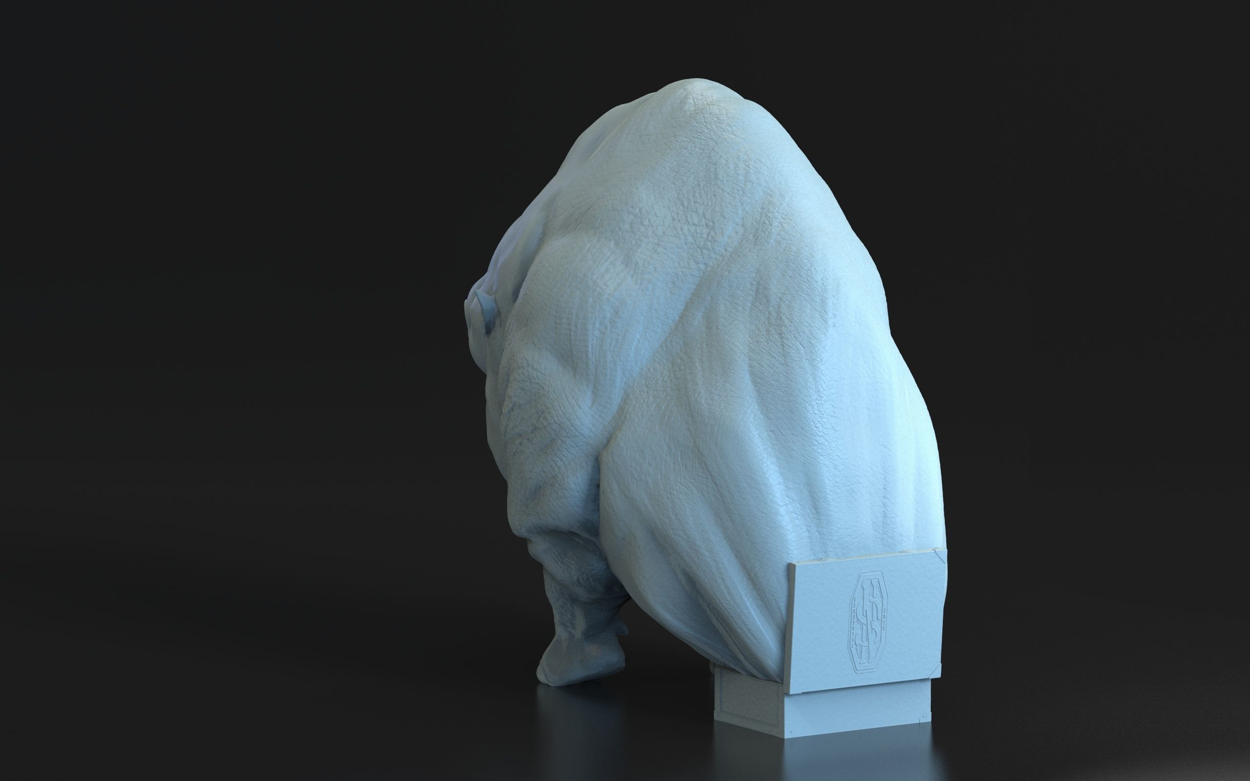 Harry Potter - Erumpent 3D print model_22