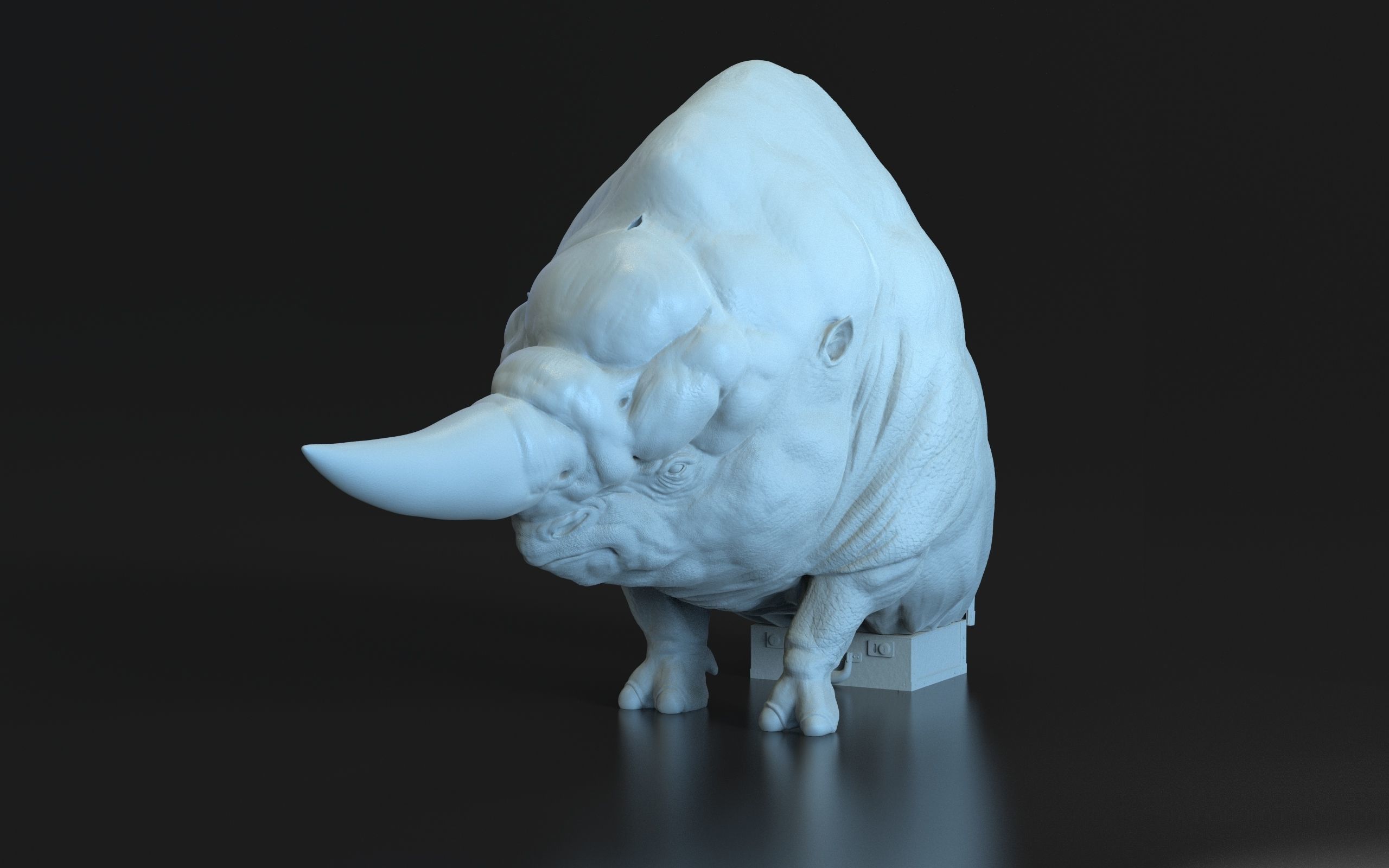 Harry Potter - Erumpent 3D print model_18