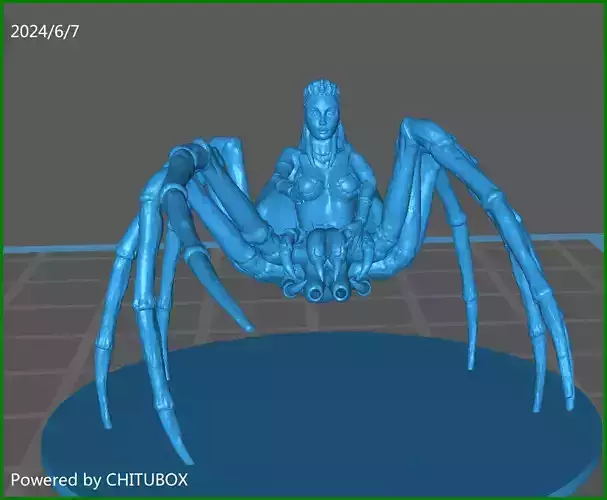 Drow Sorceress Drider ver 3