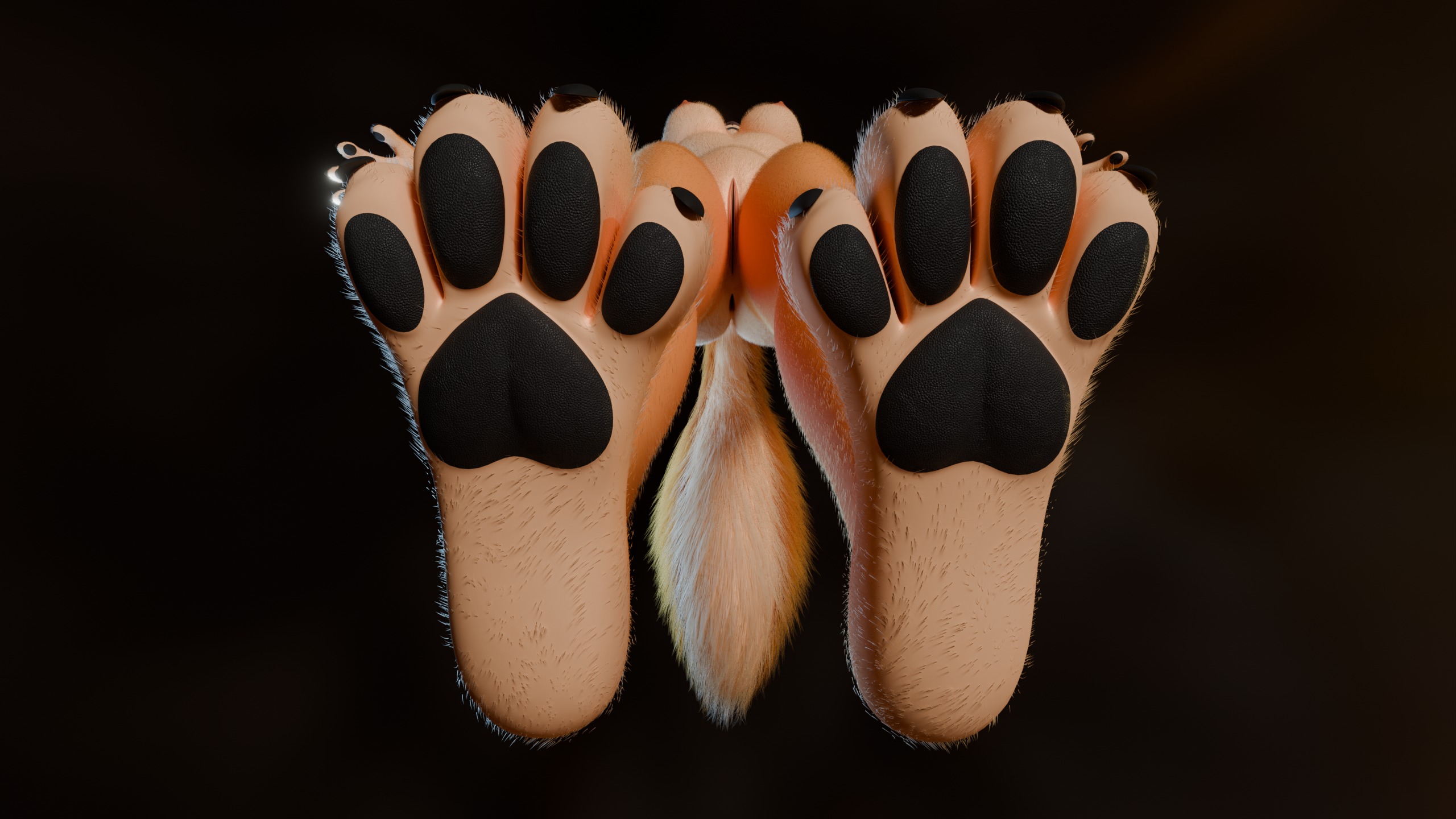 Junie Anthro Fox Low-poly 3D model_13