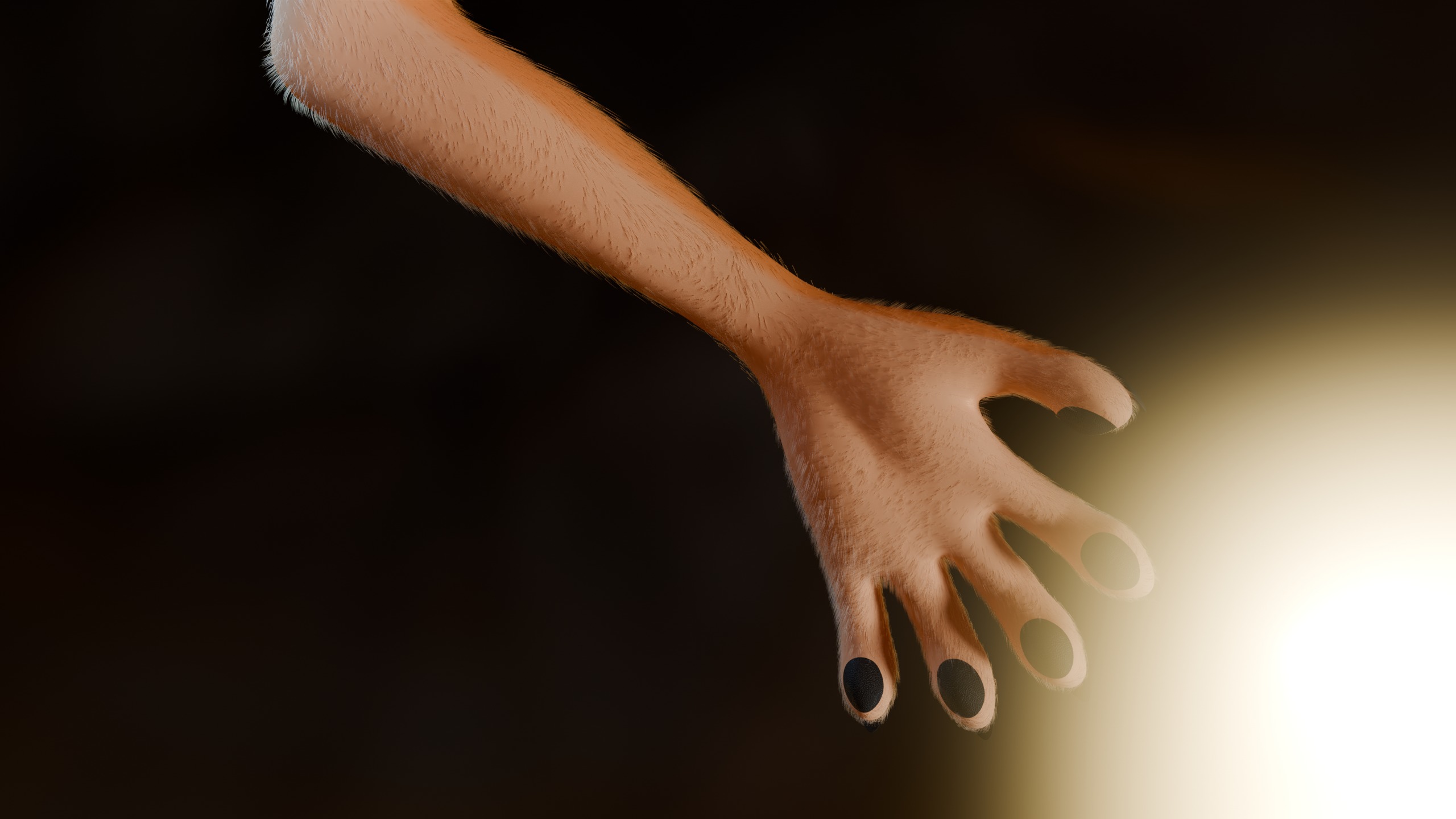 Junie Anthro Fox Low-poly 3D model_11