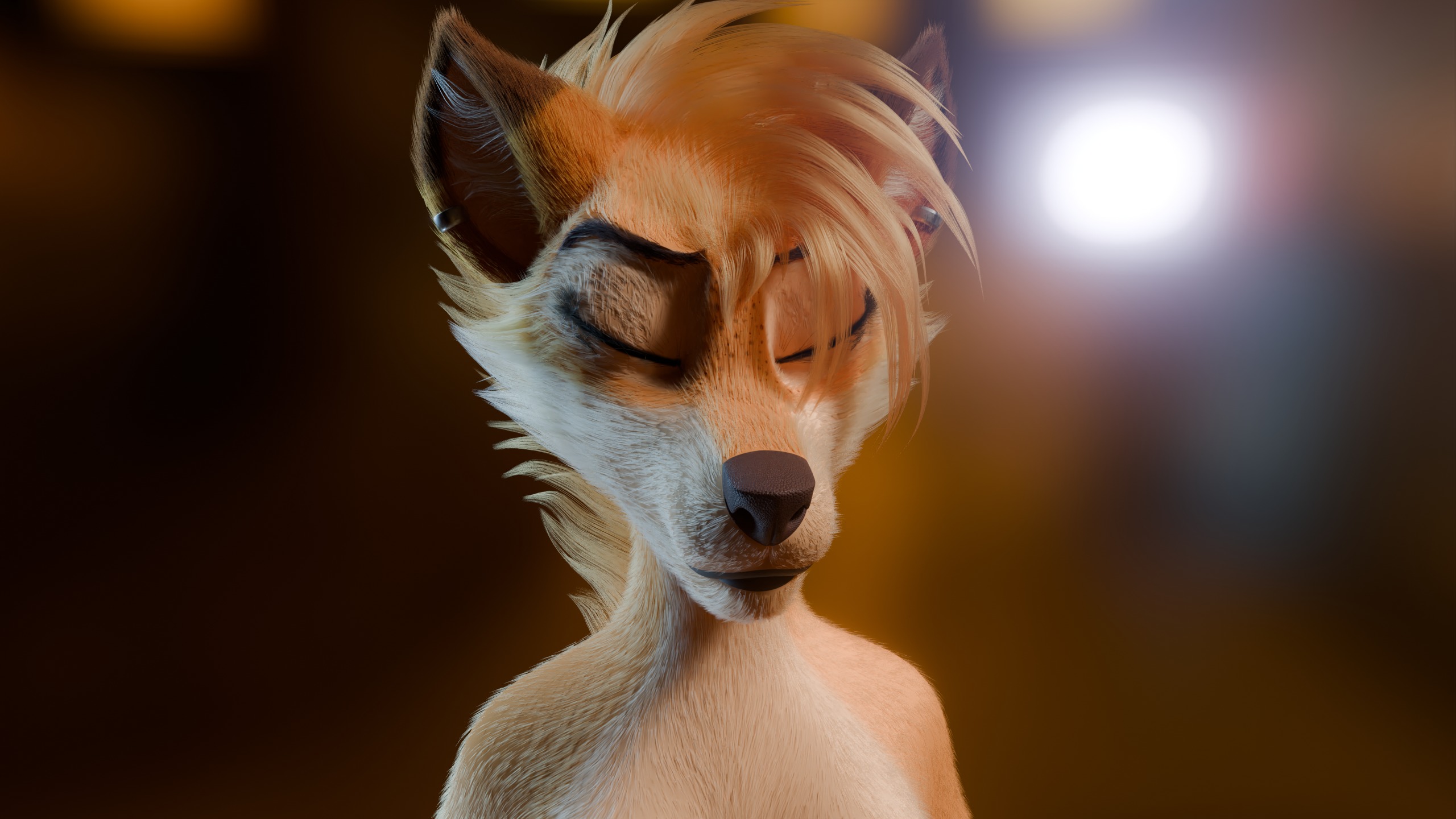 Junie Anthro Fox Low-poly 3D model_33