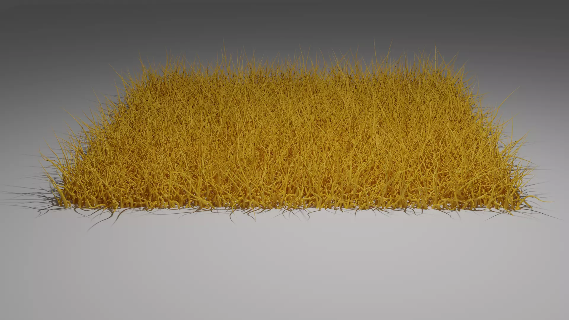 Dried grass Low-poly 3D model_0
