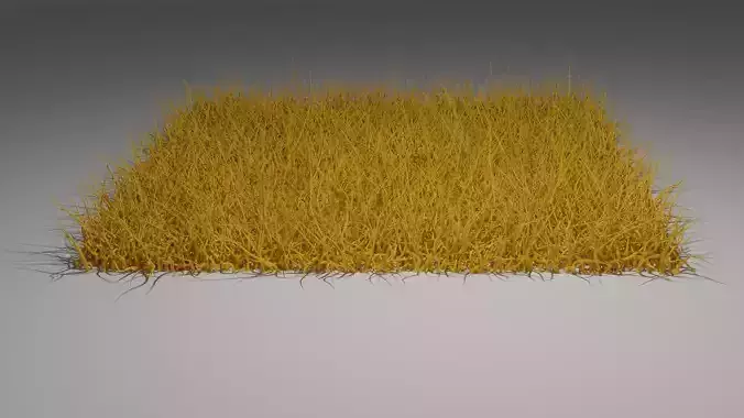 Dried grass 