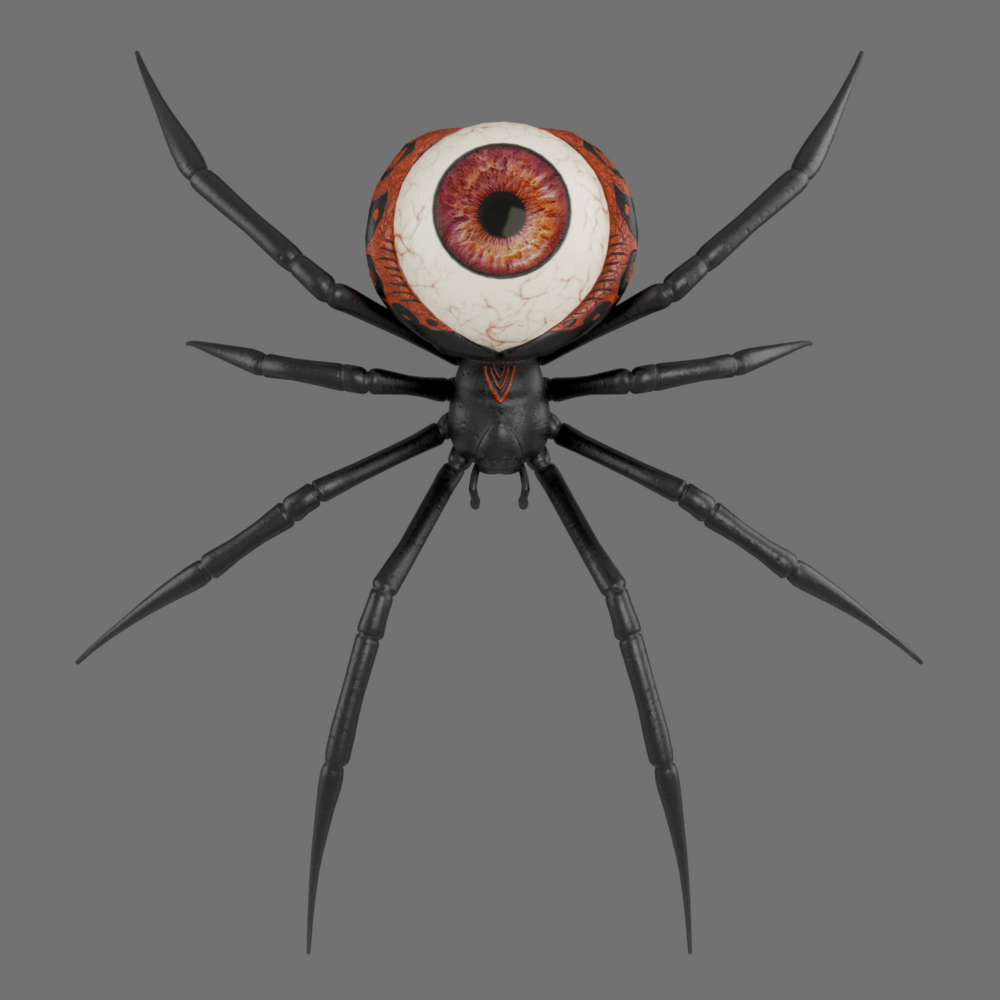 Spider Black Widow 3D model_4