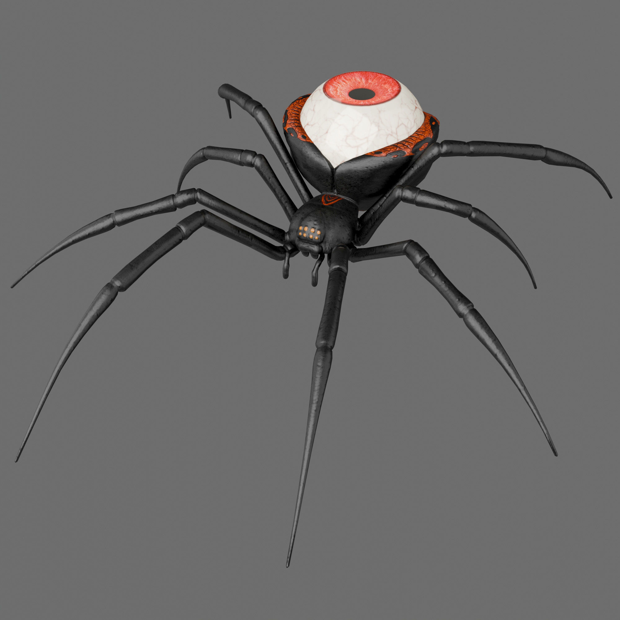 Spider Black Widow 3D model_3