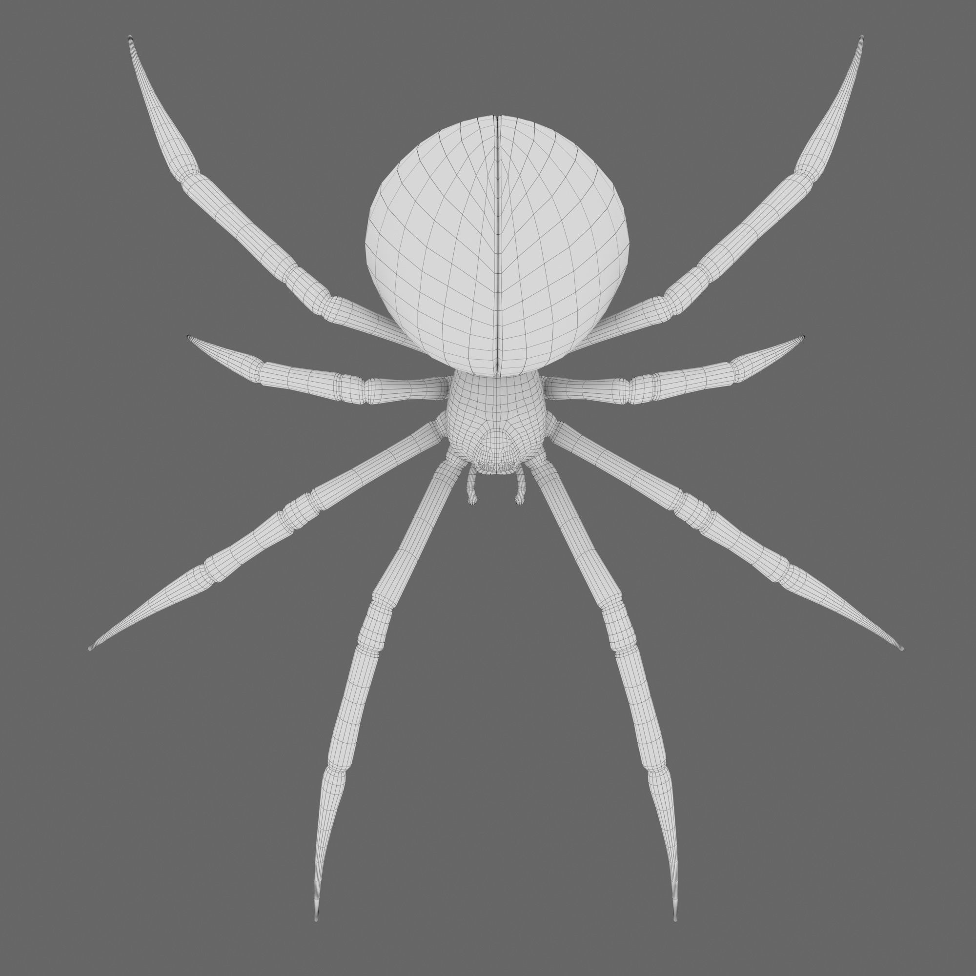 Spider Black Widow 3D model_14