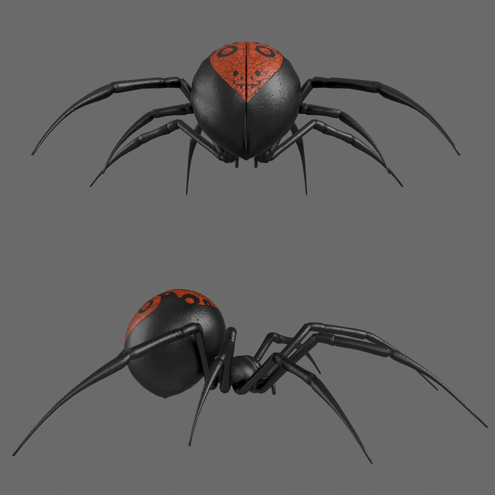 Spider Black Widow 3D model_11