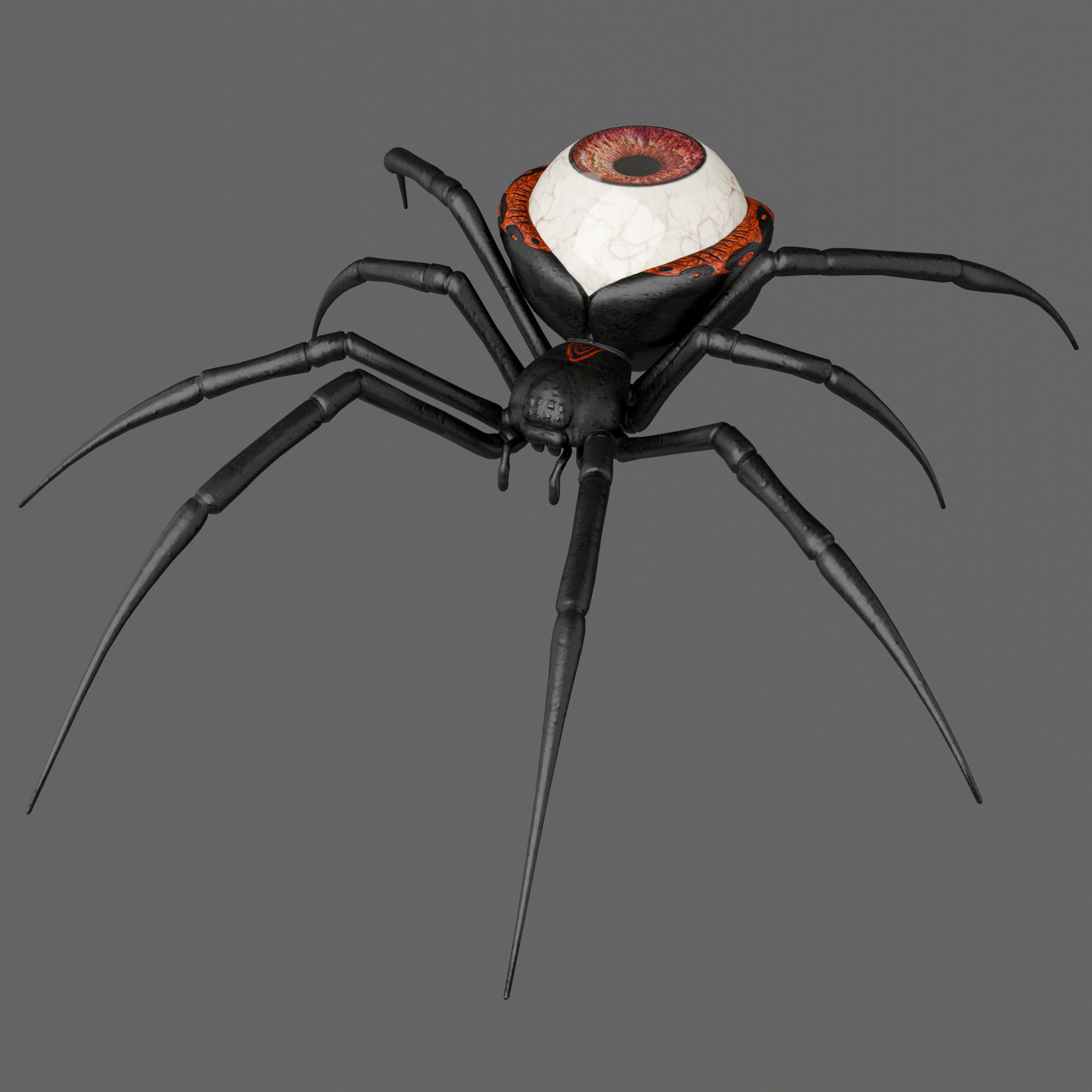 Spider Black Widow 3D model_2