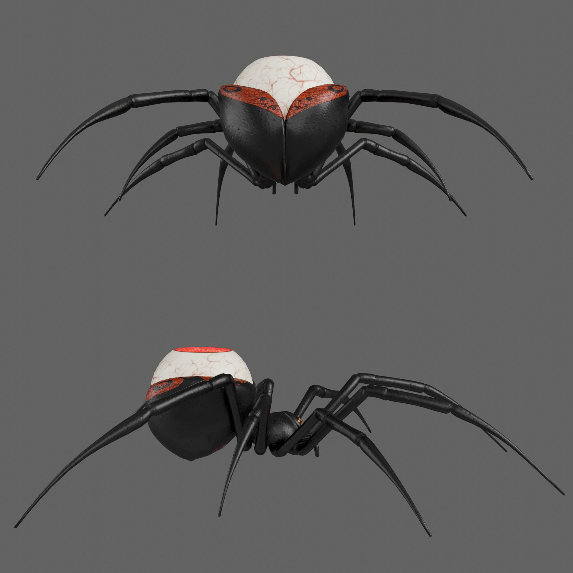 Spider Black Widow 3D model_10