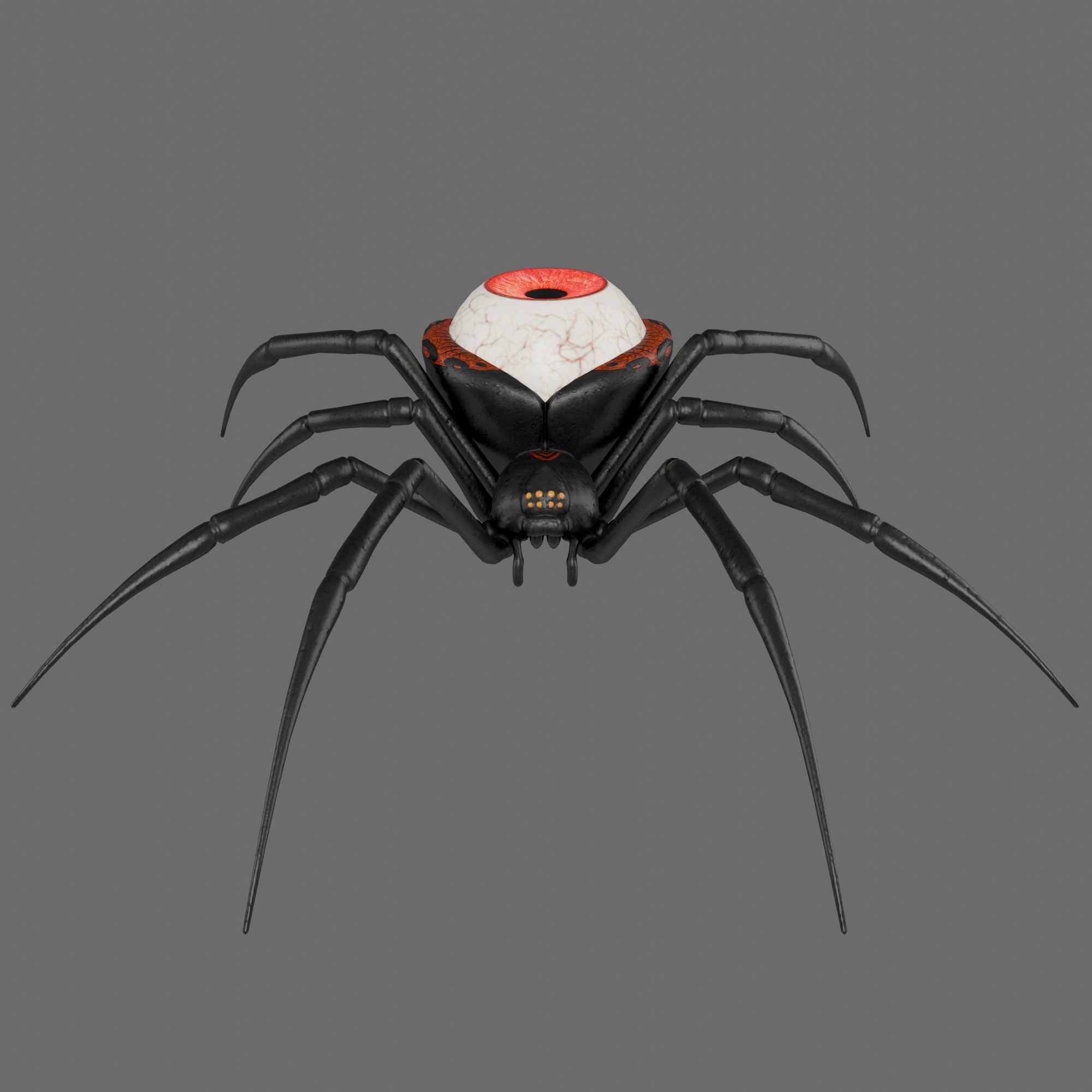 Spider Black Widow 3D model_9