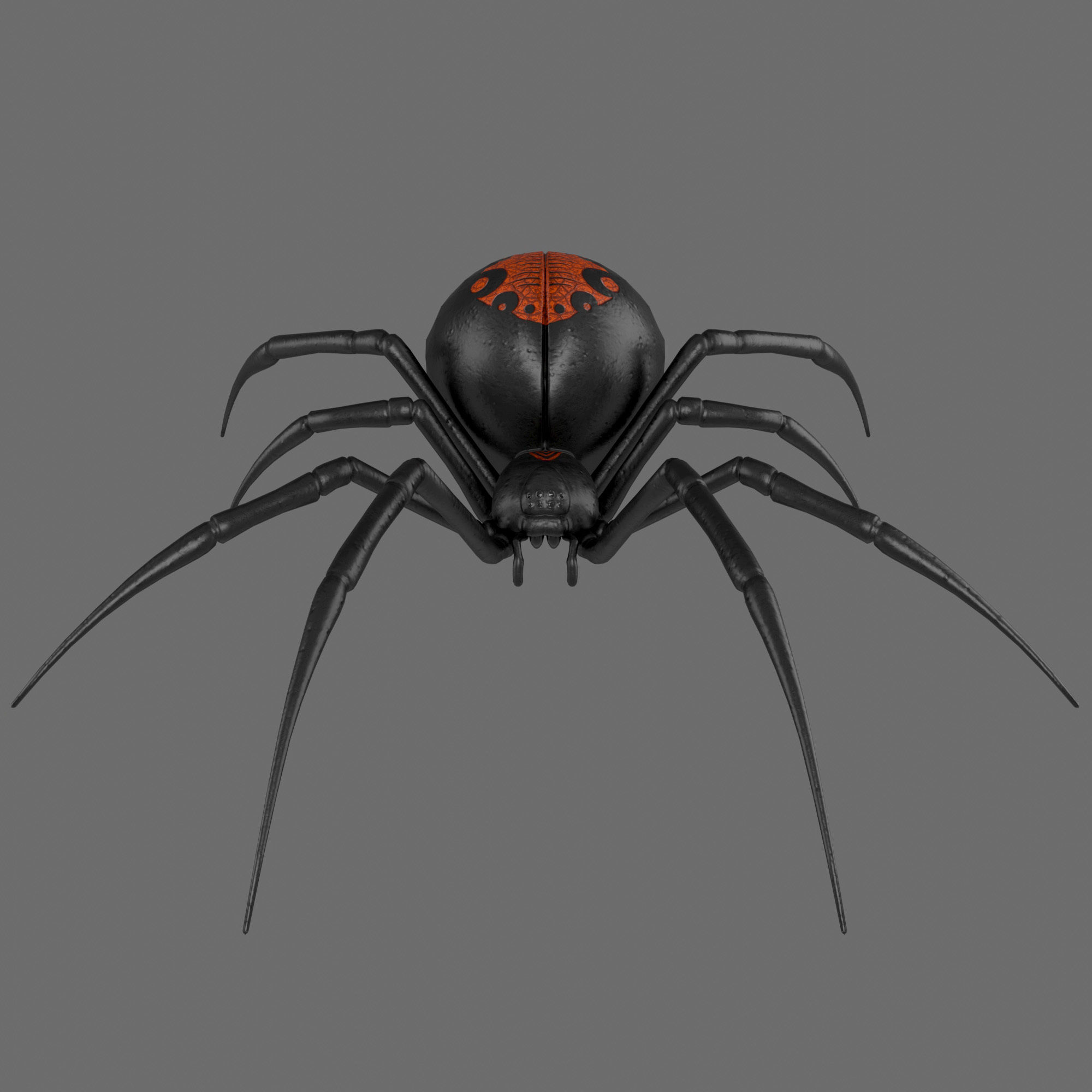 Spider Black Widow 3D model_8