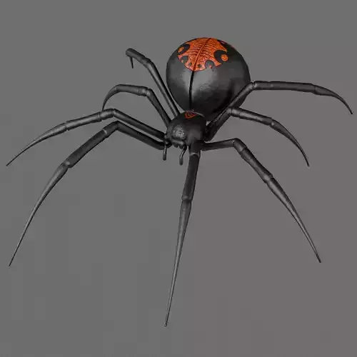 Spider Black Widow 3D model Spider Black Widow 3D model