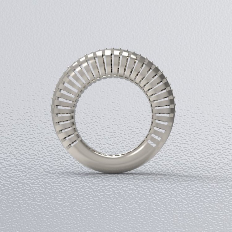 Zebra-diamond-ring 3D print model_9